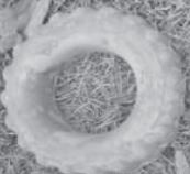 9 (1)